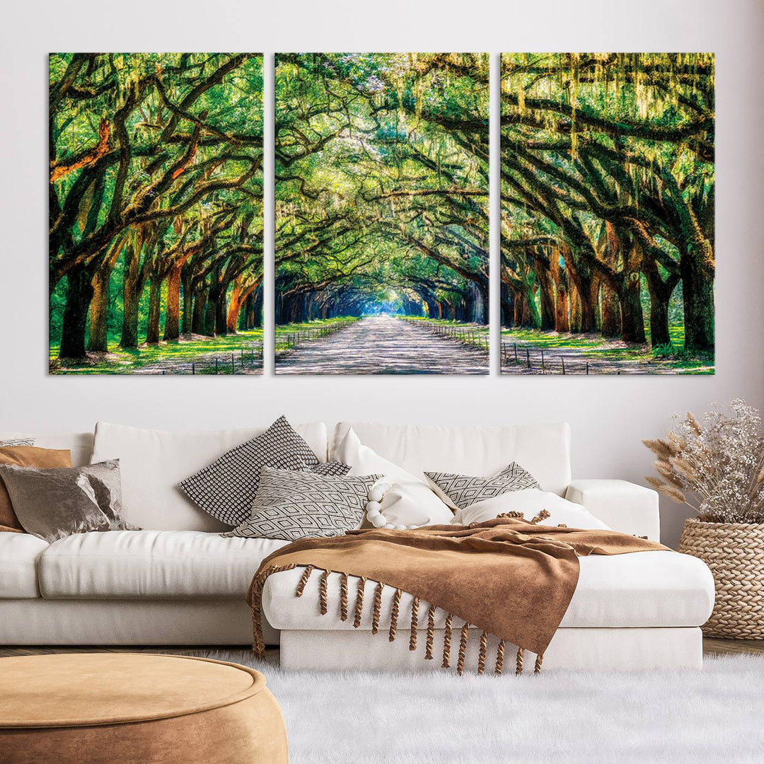 Wormsloe State Trees Driveway Wall Art Canvas Print