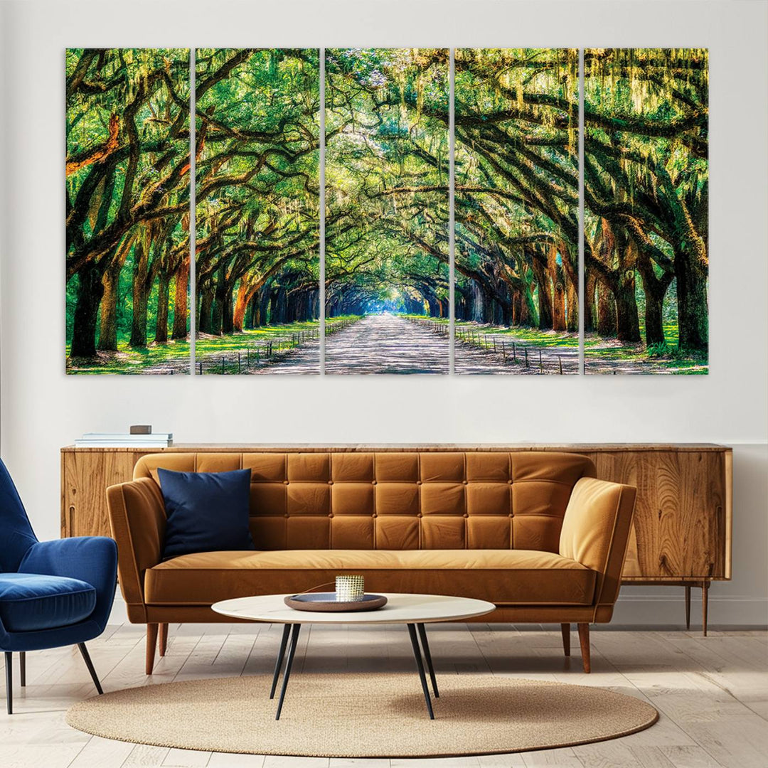 Wormsloe State Trees Driveway Wall Art Canvas Print