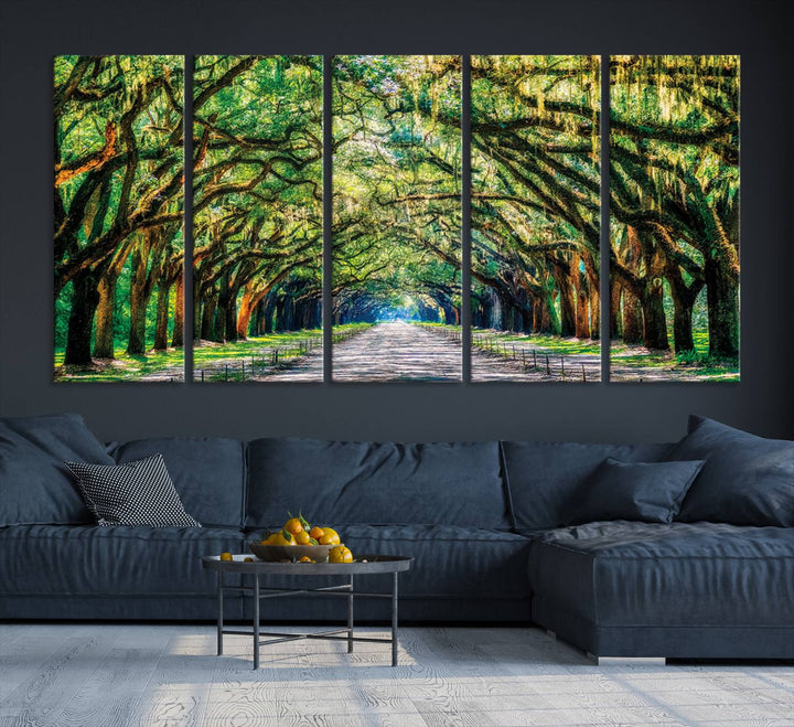 Wormsloe State Trees Driveway Wall Art Canvas Print