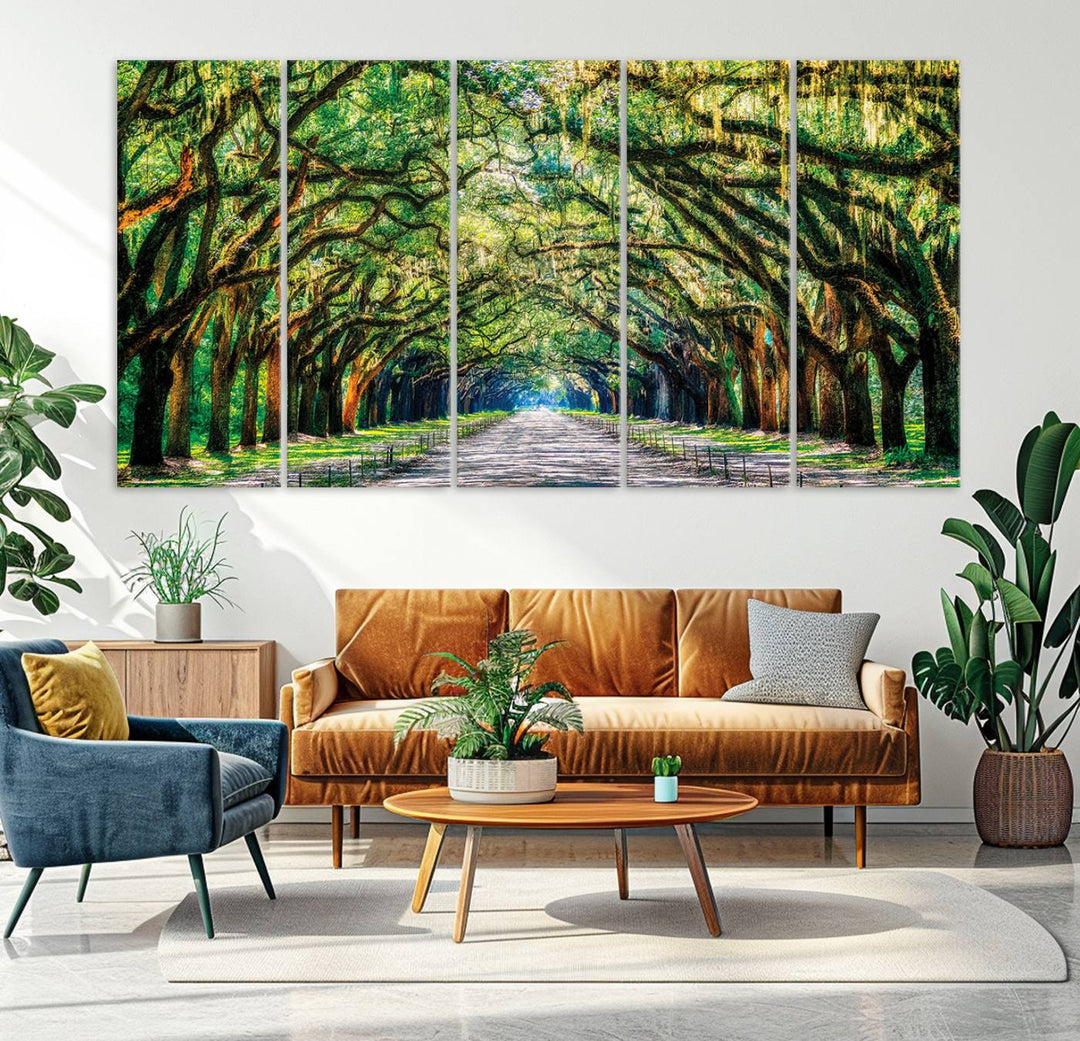 Wormsloe State Trees Driveway Wall Art Canvas Print