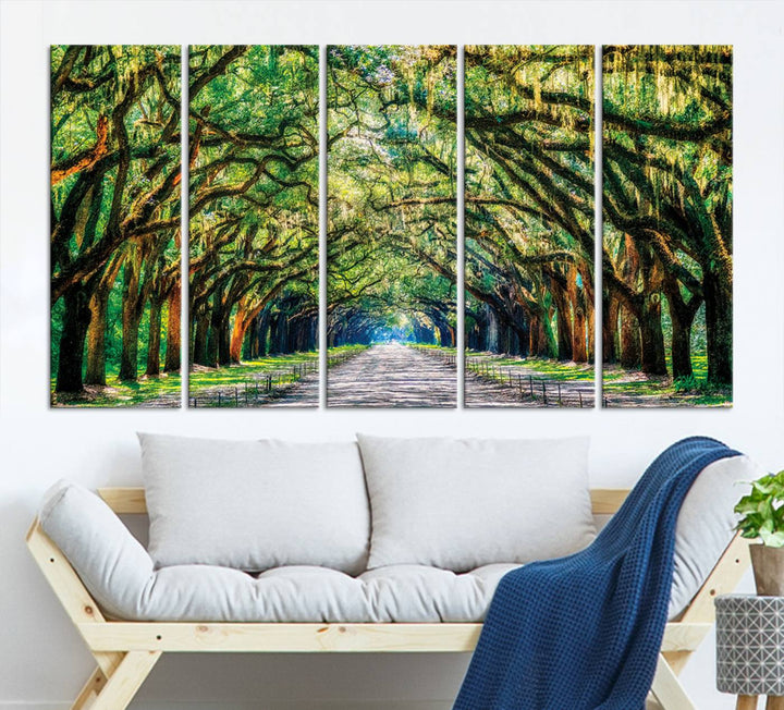 Wormsloe State Trees Driveway Wall Art Canvas Print