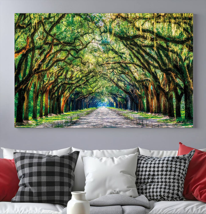 Wormsloe State Trees Driveway Wall Art Canvas Print