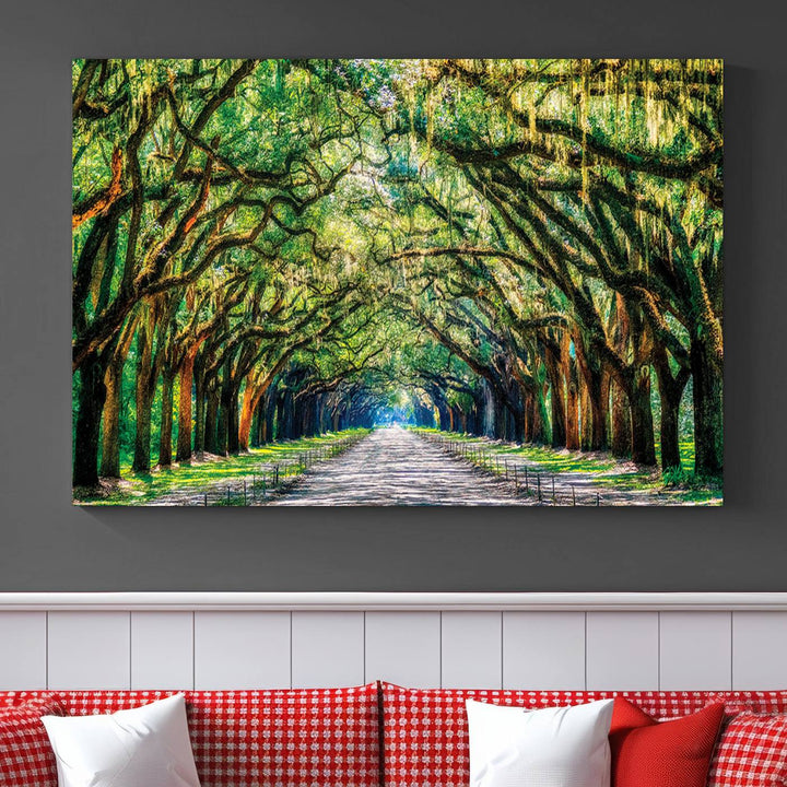 Wormsloe State Trees Driveway Wall Art Canvas Print