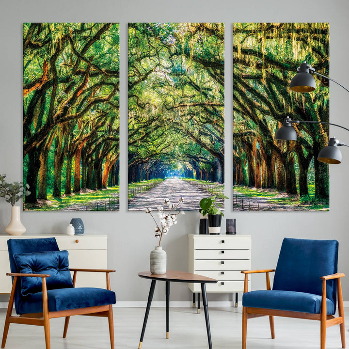 Wormsloe State Trees Driveway Wall Art Canvas Print