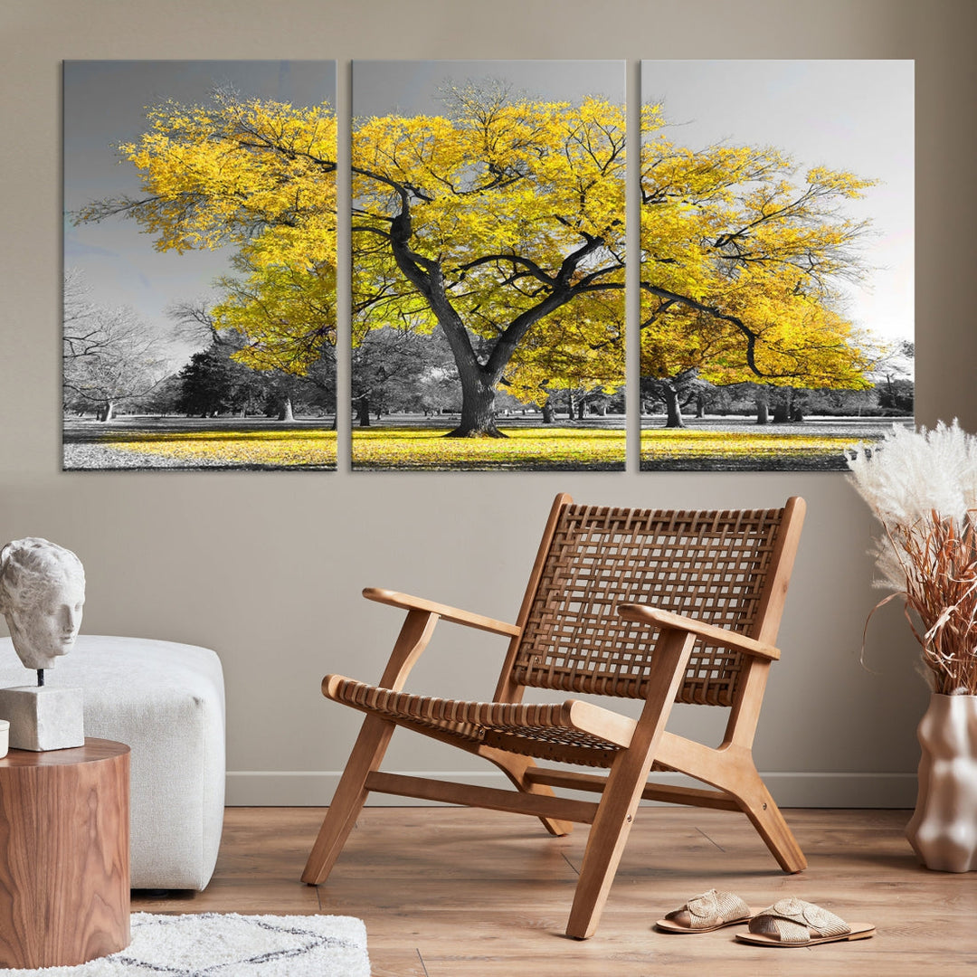 Yellow Tree Large Canvas Print Landscape Photo Wall Art Home Decoration