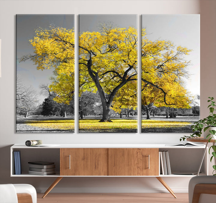 Yellow Tree Large Canvas Print Landscape Photo Wall Art Home Decoration