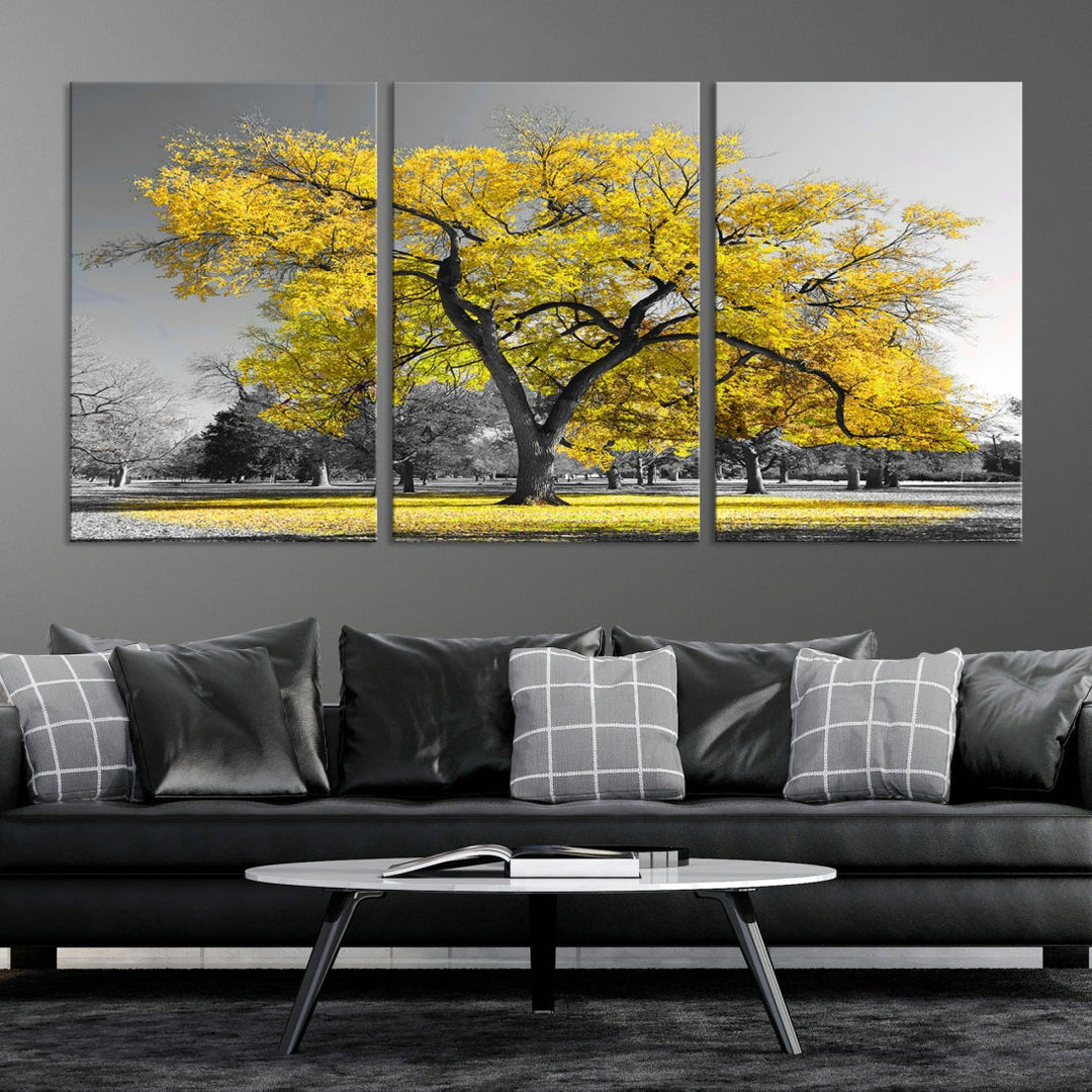 Yellow Tree Large Canvas Print Landscape Photo Wall Art Home Decoration