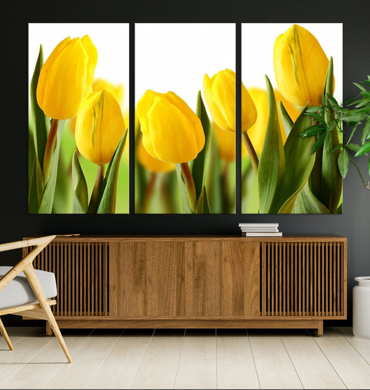 Yellow Tulips Framed Canvas Wall Art Giclee Print