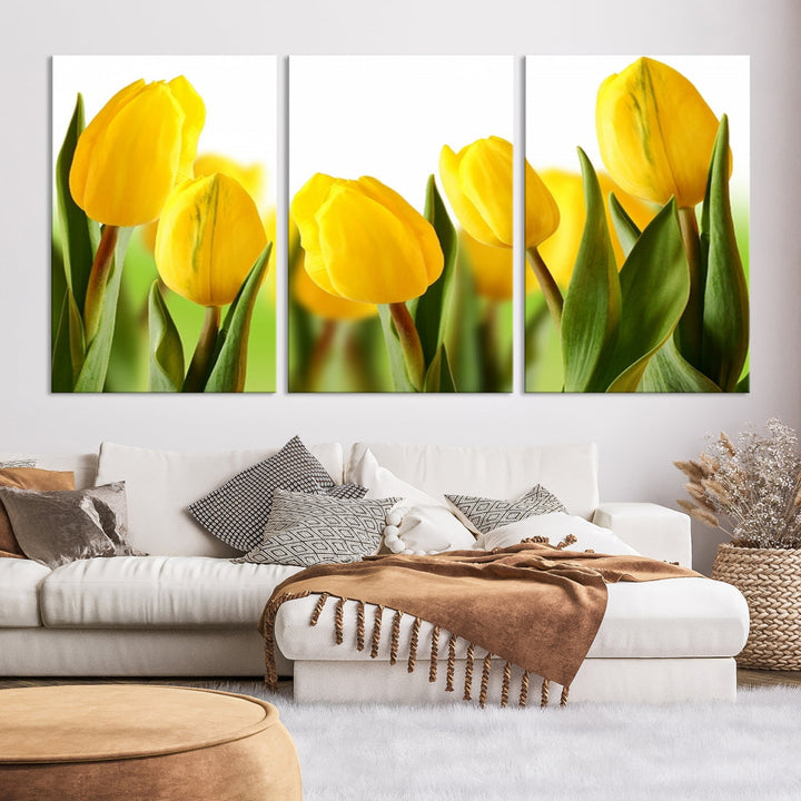 Yellow Tulips Framed Canvas Wall Art Giclee Print