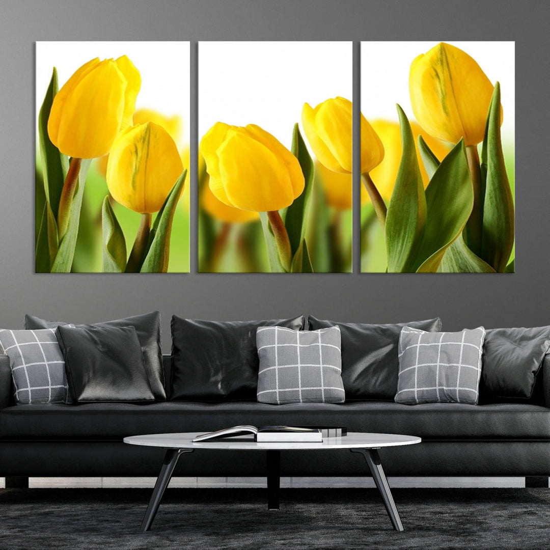 Yellow Tulips Framed Canvas Wall Art Giclee Print