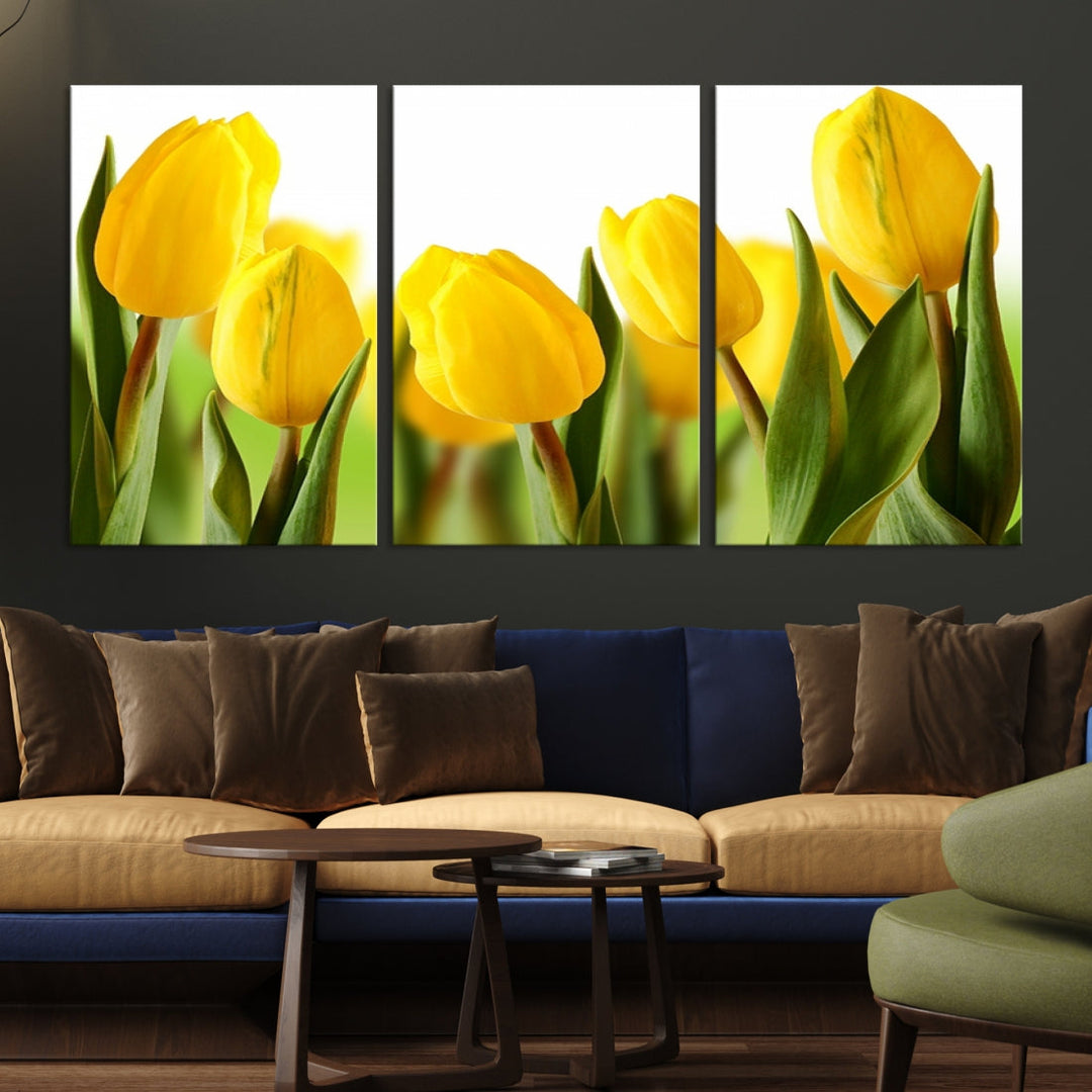 Yellow Tulips Framed Canvas Wall Art Giclee Print