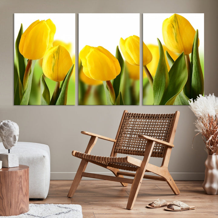 Yellow Tulips Framed Canvas Wall Art Giclee Print