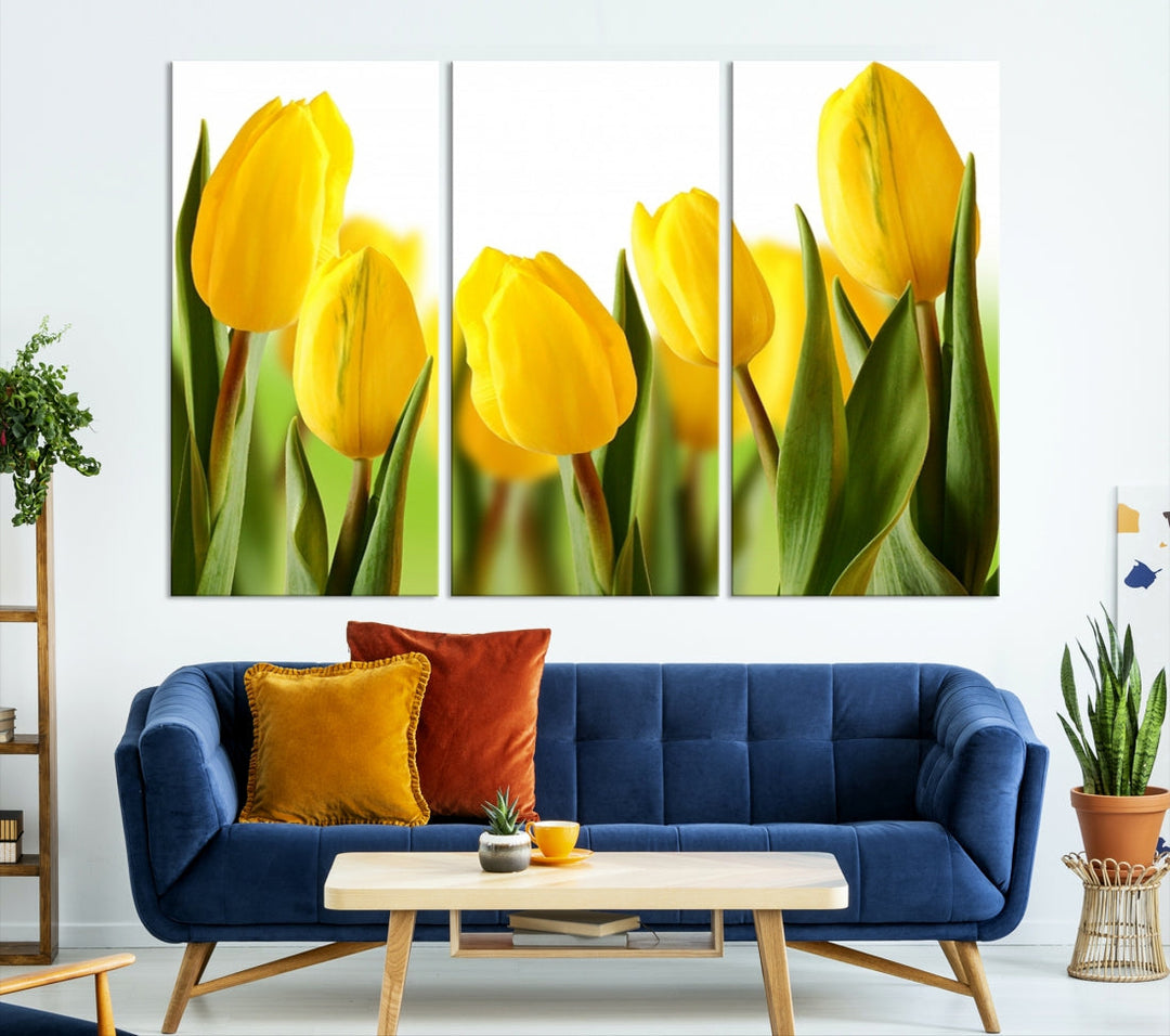 Yellow Tulips Framed Canvas Wall Art Giclee Print