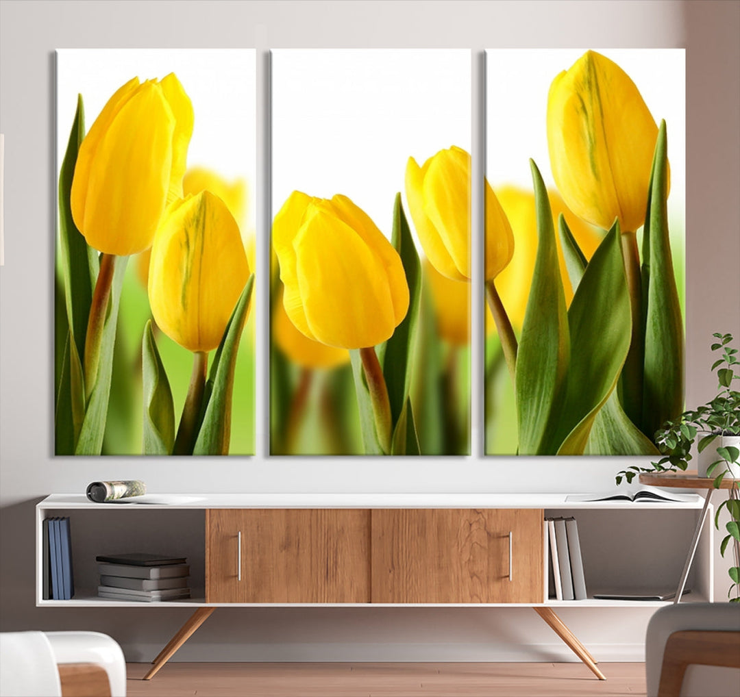 Yellow Tulips Framed Canvas Wall Art Giclee Print